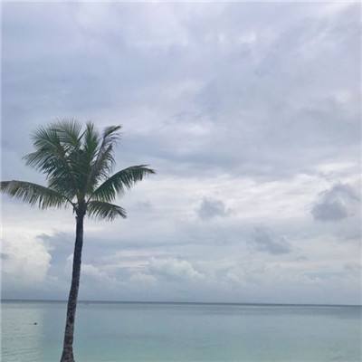 芭比娃娃芭蕾舞游戏下载
